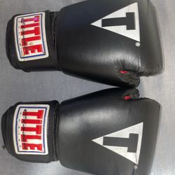 Title Gloves And Boxing Shoes 