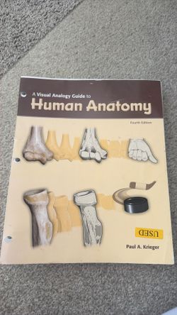 Human Anatomy Coloring And Learning Book