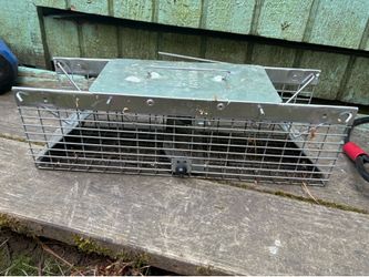 Small animal trap