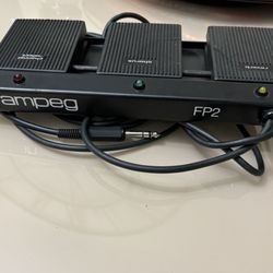 Ampeg FP1 2 Button Footswitch