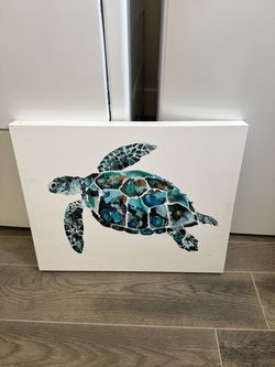 Turtle portrait