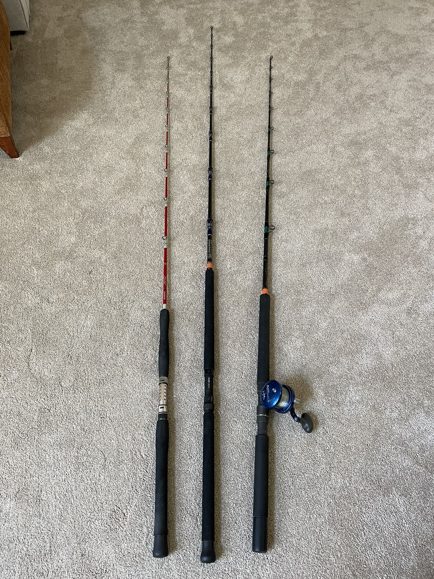 Shimano Terez, Fishing Syndicate, Avet Jx