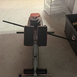 Weight Bench 