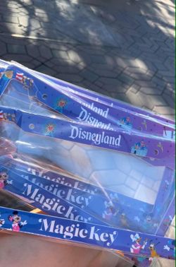 Disney Magic key Holder license plate