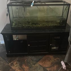 FREE 55 Gallon Fish Tank And Stand 