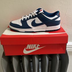 Nike Dunk Low Retro 