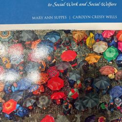 The Social Work Experience
