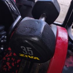 Single 35lb Rubber Coated Dumbbell 