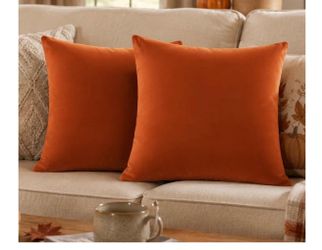 Burnt Orange Velvet Throw Pillow Covers 20x20 Inch Set of 4 Covers Only,Ultra-Soft,Hidden Zipper,Easy Care,Decorative Accent Cushion Covers For Couch