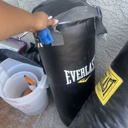 Everlast Punching Bags 