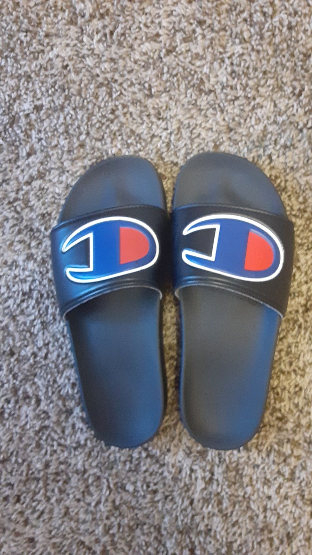 Champion slides