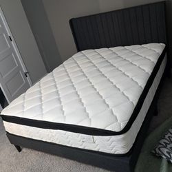 Queen Bed and mattress