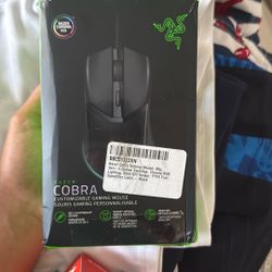 Razer Mouse