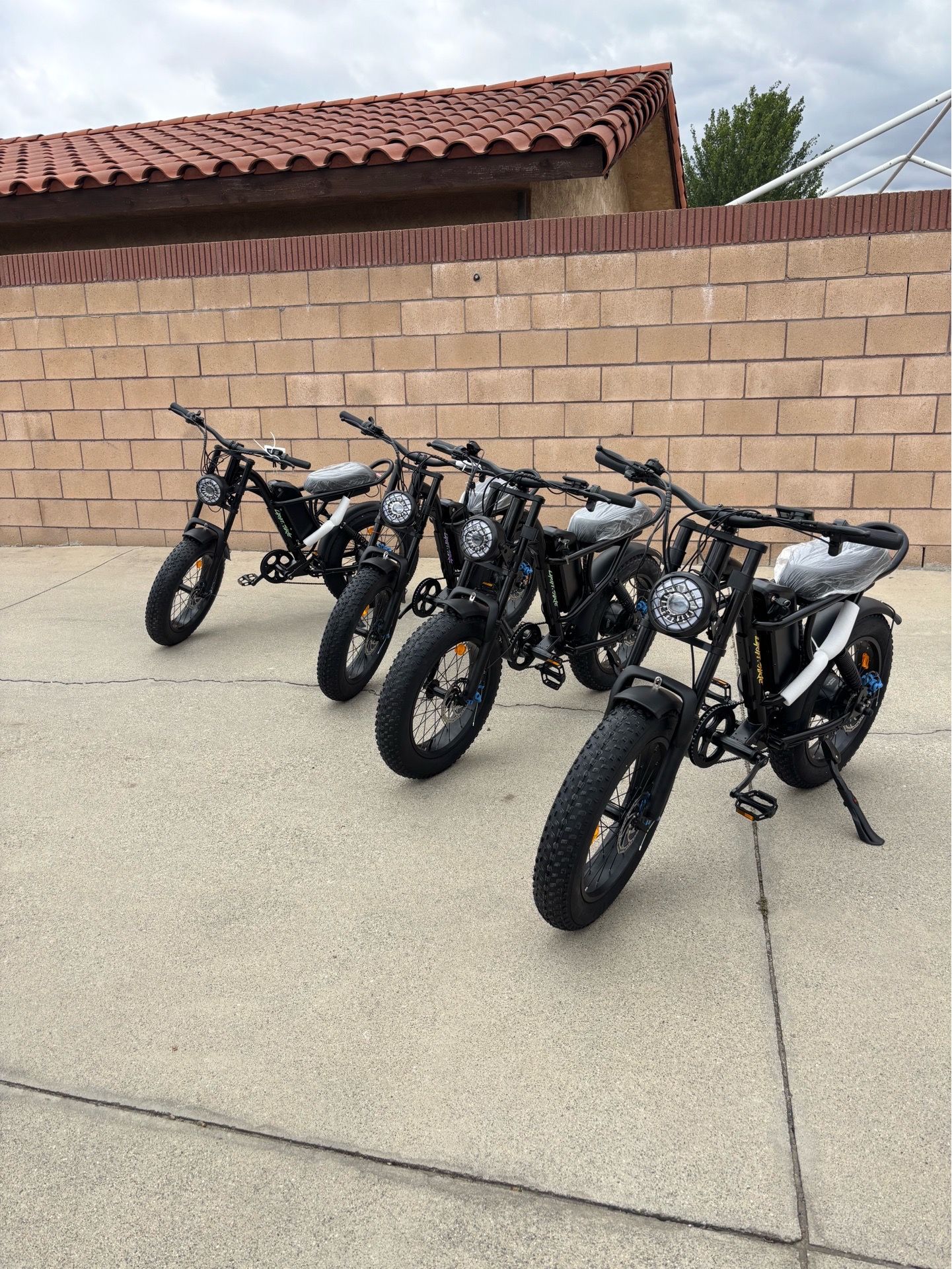 Electric bike