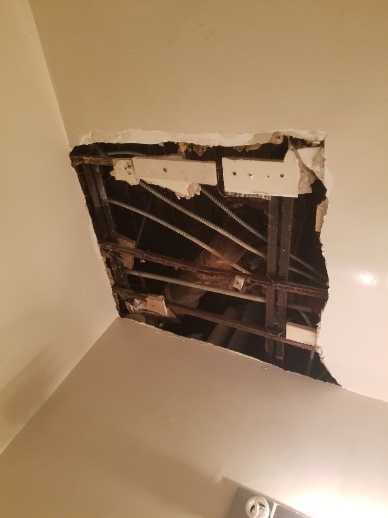 The two brother painter's