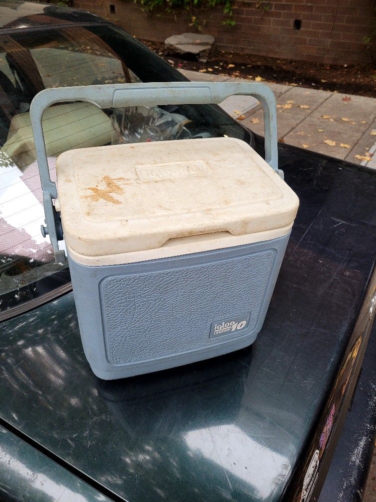 Igloo Mini Cooler