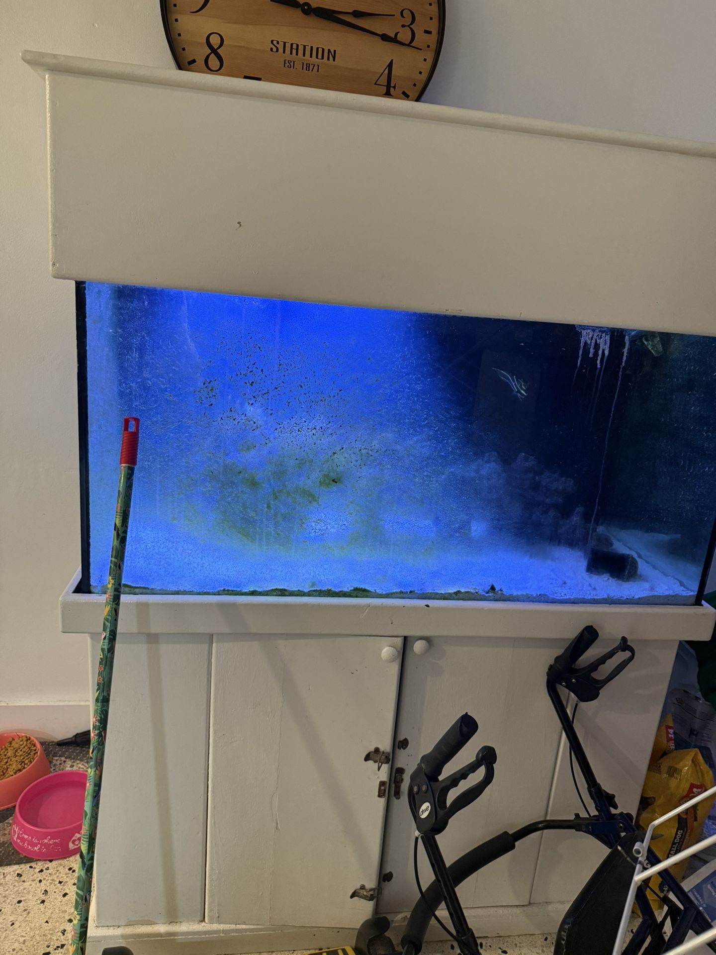 Fish Tank 