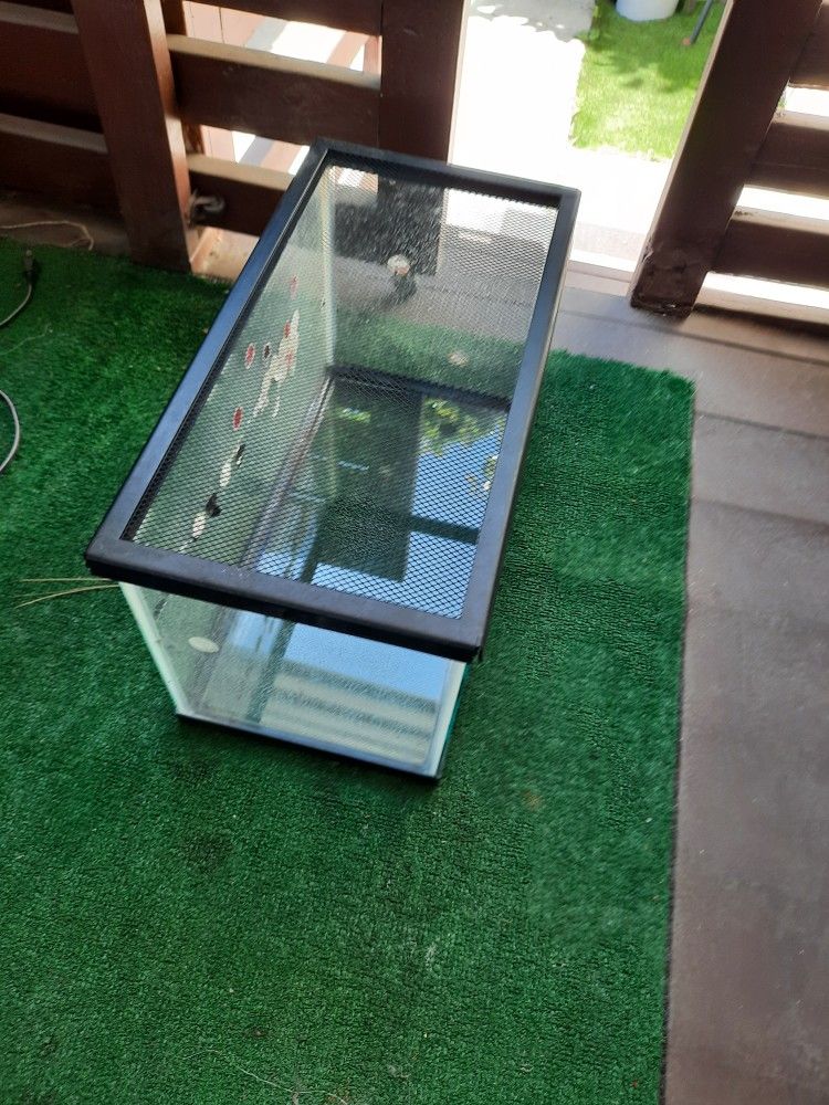 Fish Tank