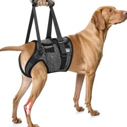 SlowTon Dog Lift Harness - Adjustable Dog Sling for Medium Large Dogs, Hind Leg Support to Help Rehabilitate, Soft Padded Dog Support Harness for Elde