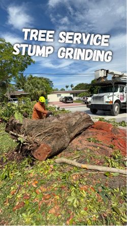 Stump Grinder 7500 Carlton