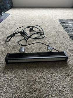 Black Metal Black Light