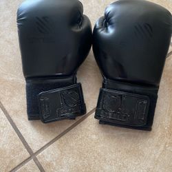 Boxing Gloves 
