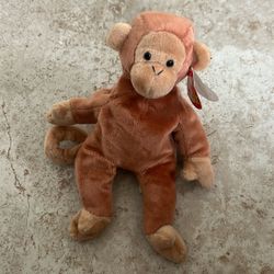 Bongo The Monkey With The Tan Tail 