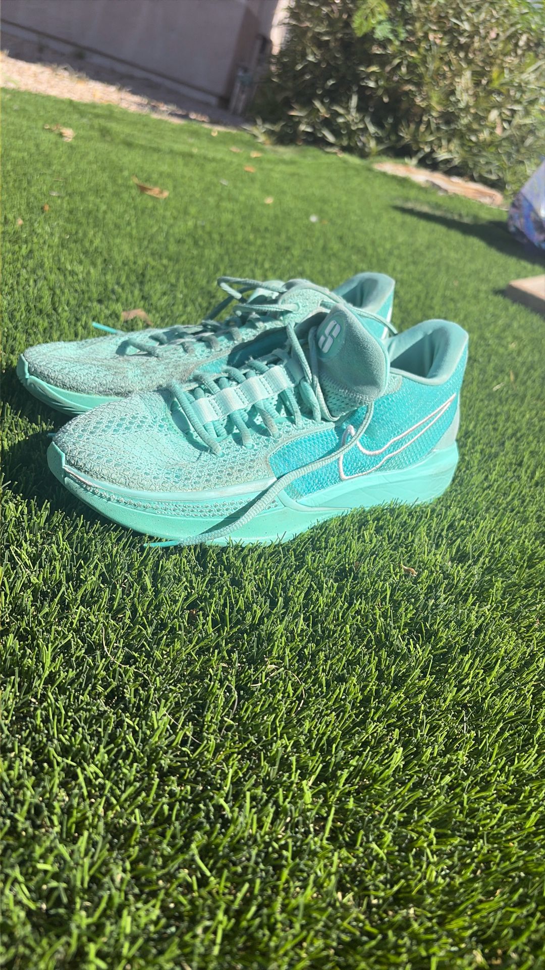 Sabrina Basketball Shoes