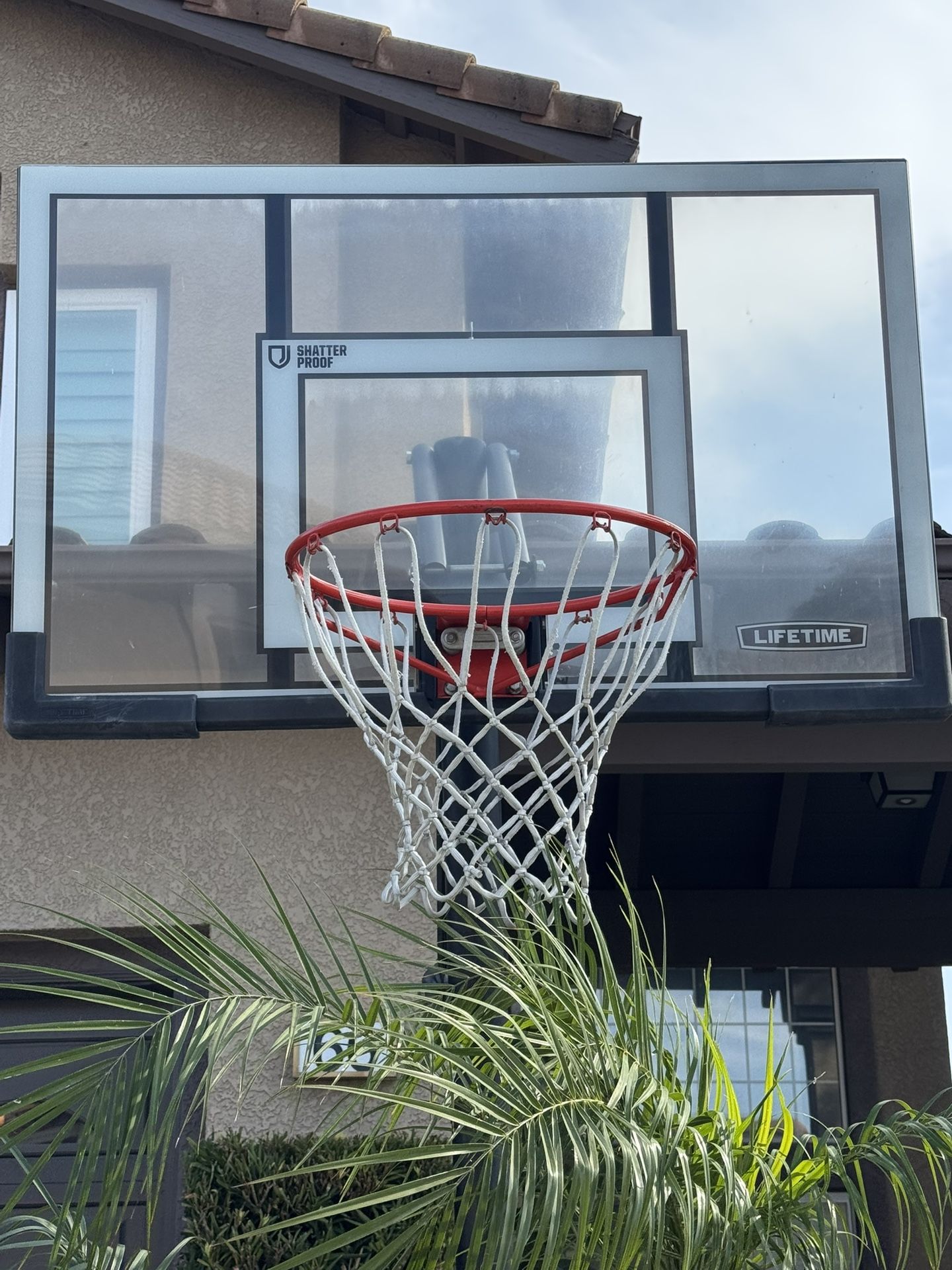 Lifetime Basketball Hoop