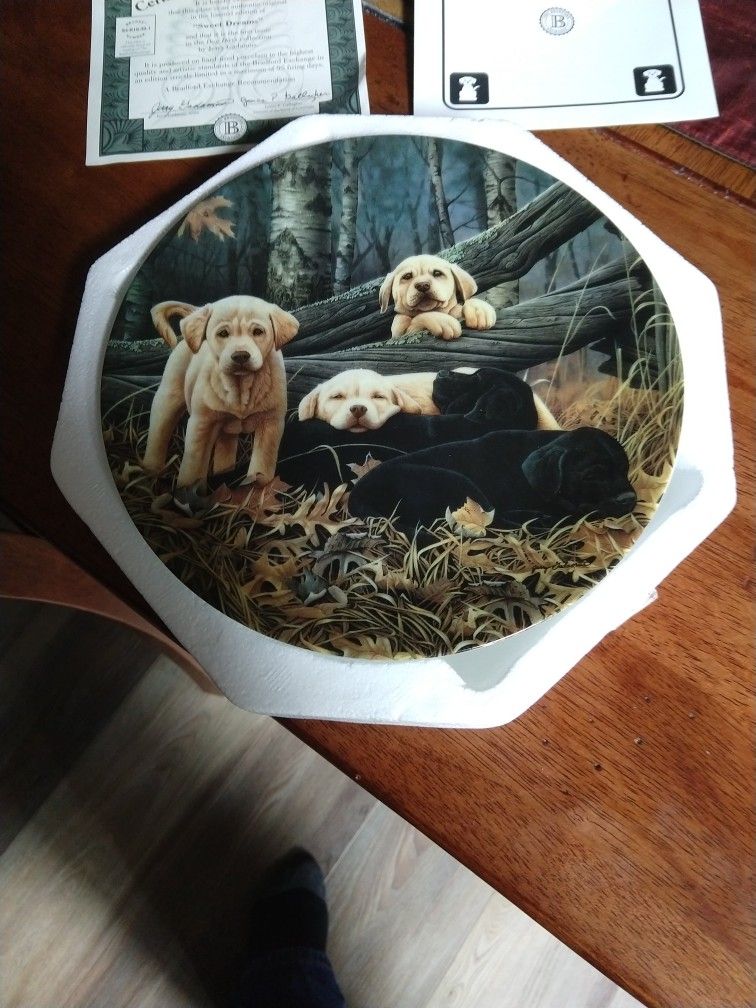 collectors plate byJerry Gadamus