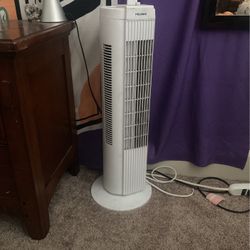 Fan