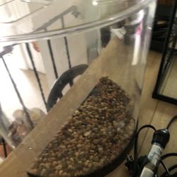 2.5 Gallon Aquarium