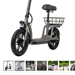 Electric Scooter