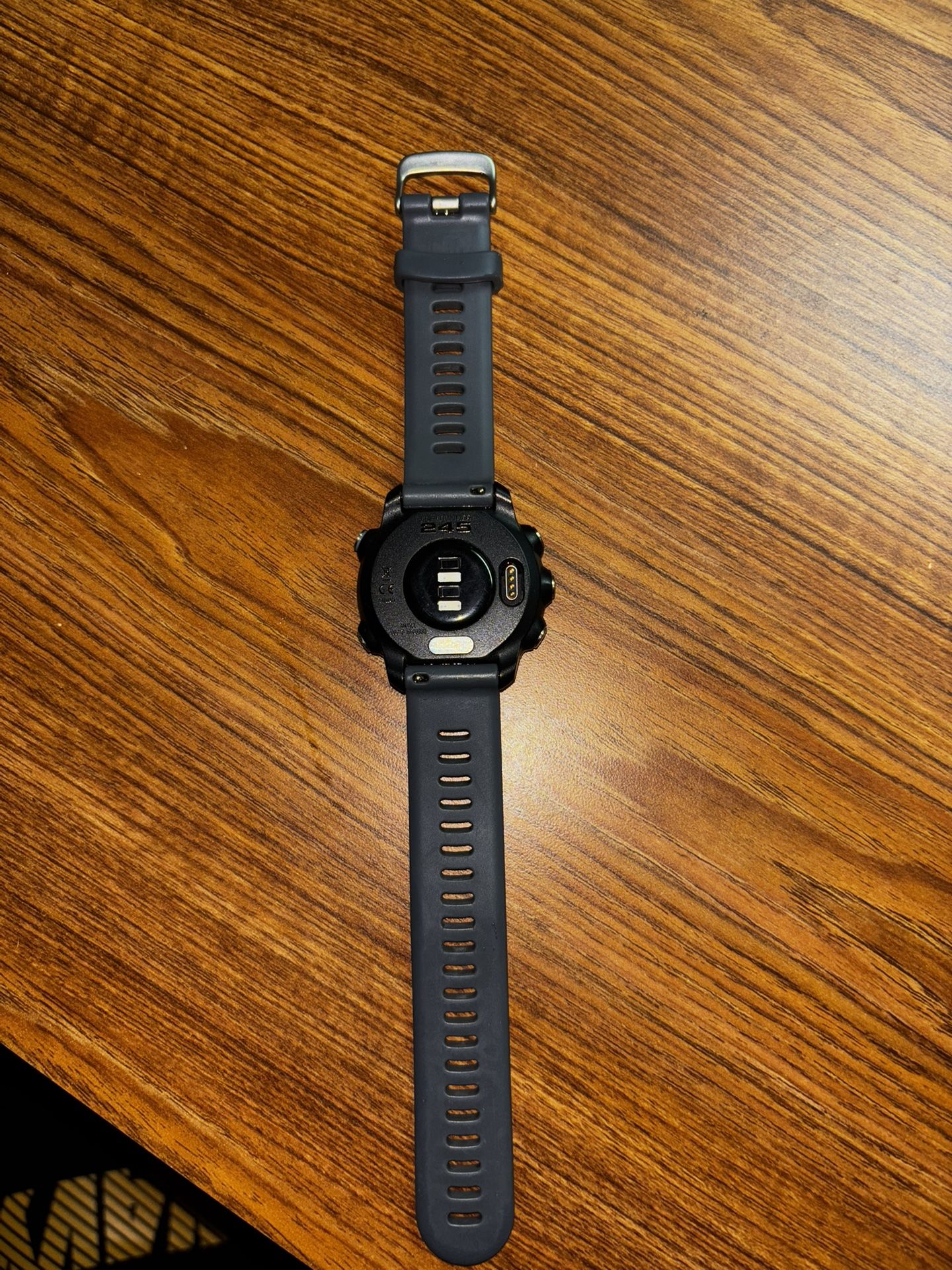 Garmin 245 