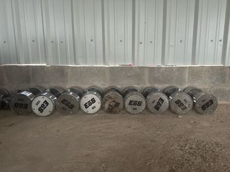 Gym dumbbells