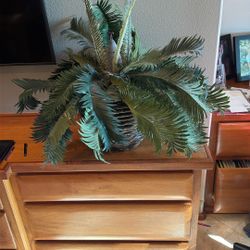 Artificial Plant