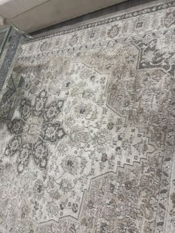 Are rug 7x10