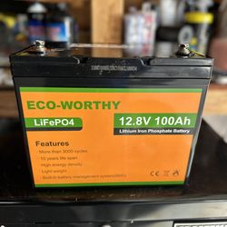 Eco-Worthy 12v 100ah LiFePO battery