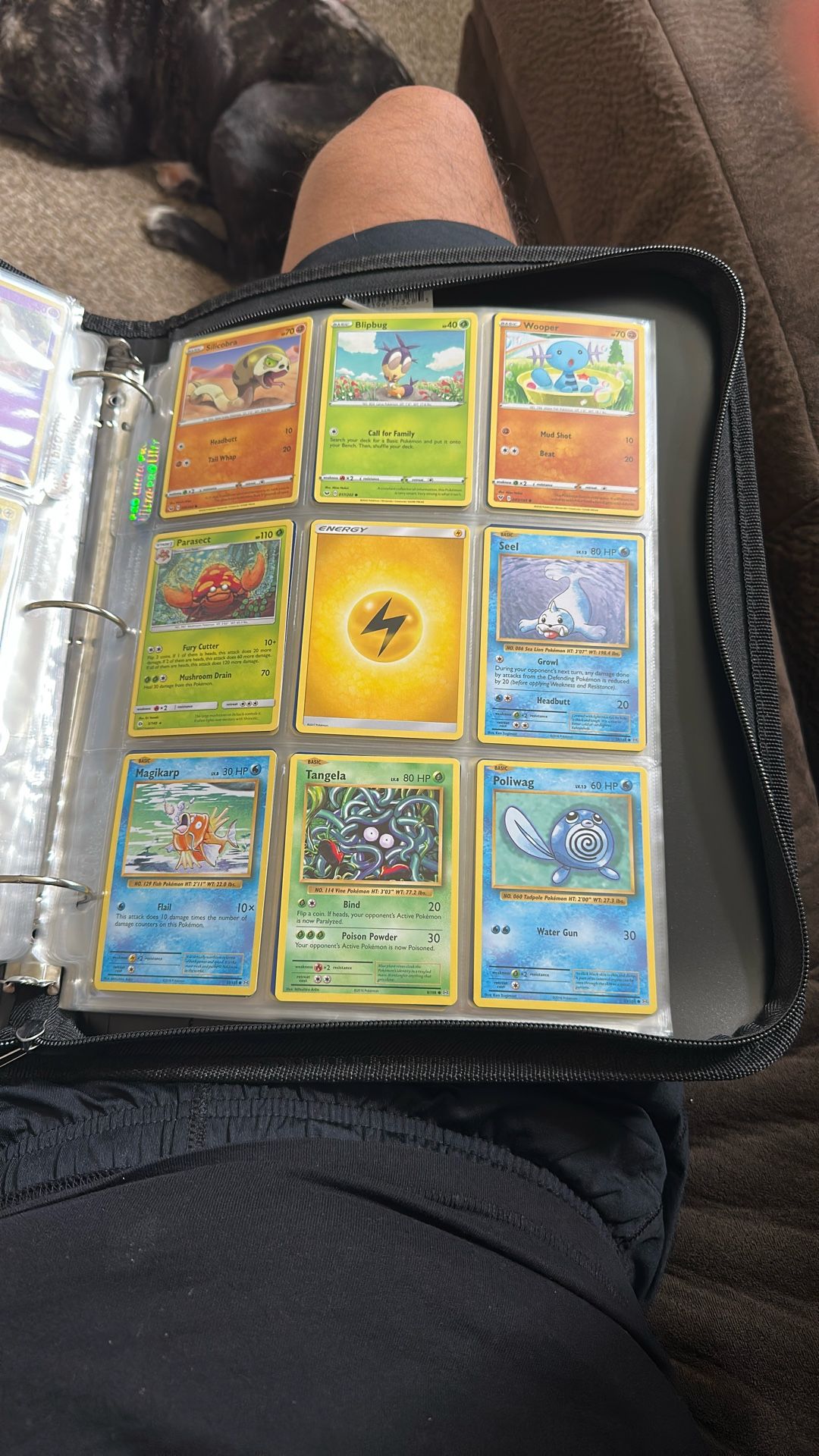 Pokémon Bulk Binder