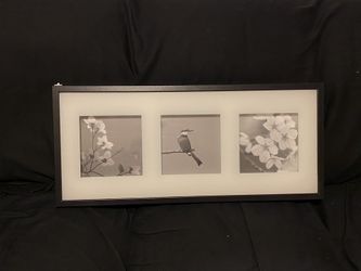 Wall art Or frame for 3 photos
