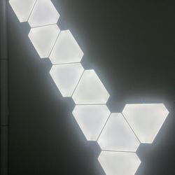 Nano Leafs 12 Pack