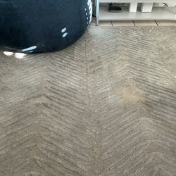 Area rug by Martha Stewart Living FREE