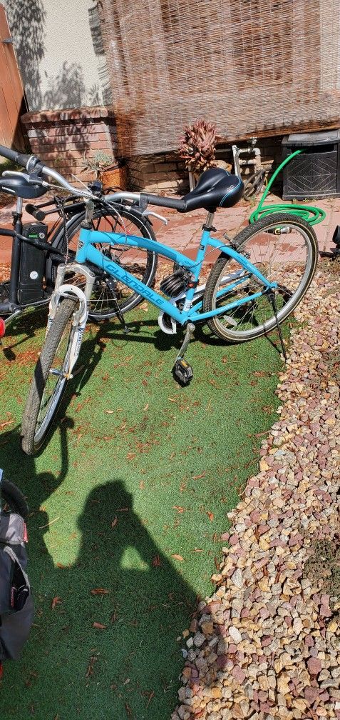 Woman's Bike 24 Inches $40 obo