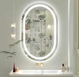 36x24 LED Oval Bathroom Mirror With Lights, Backlit + Front Lit