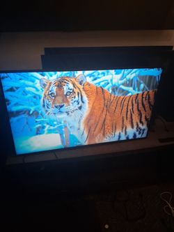 43 inch Samsung  QN43Q60TA