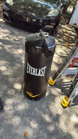 Everlast 70 lb Heavy Punching B