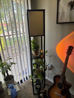 Antonlini 63" Black Floor Lamp with Shelves