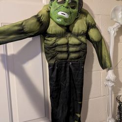 Hulk Kid Costume