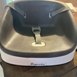 Ingenuity Booster Seat