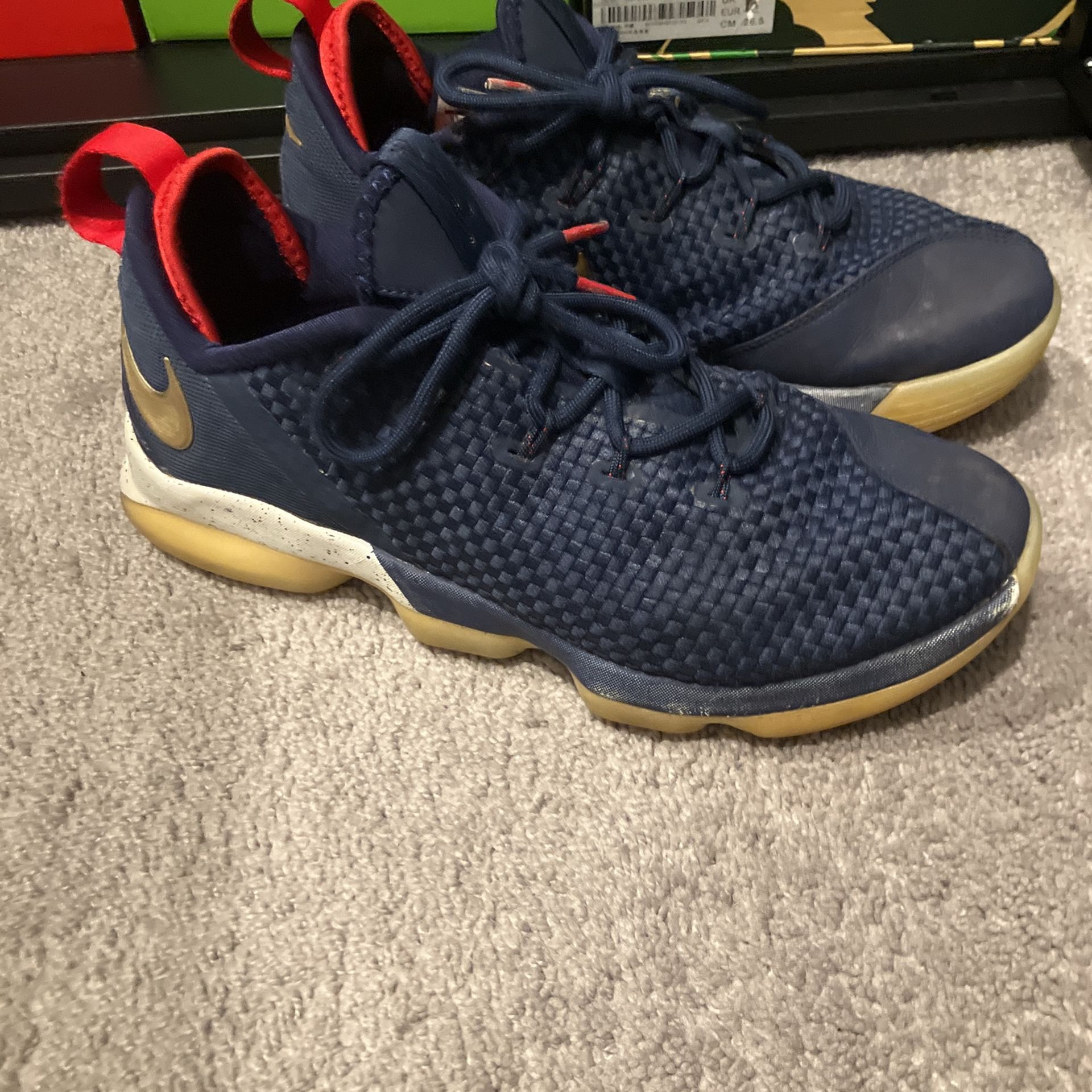 Nike Air Witness Lebron James Akron 330 training shoes Men’s Size 9.5
